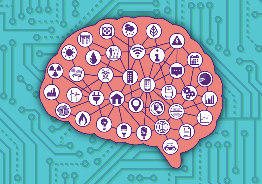 Cognitive Conservation