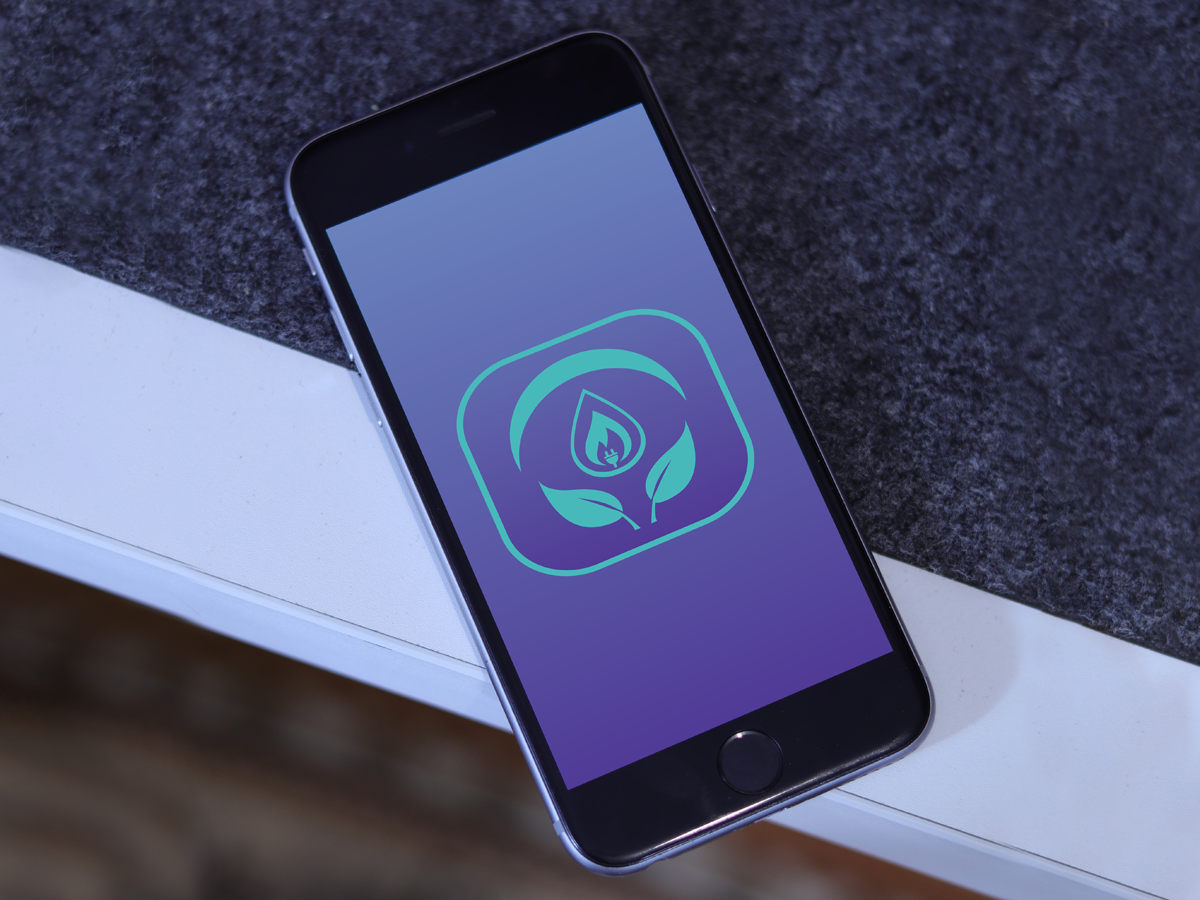 websized-phones-U6