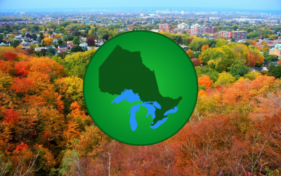 Green-Button-Ontario-Autumn